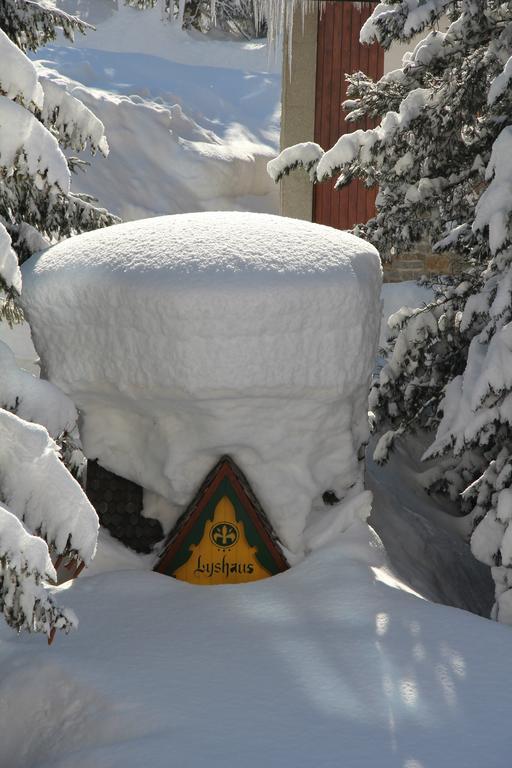 Hotel Lyshaus Gressoney-Saint-Jean Exterior photo
